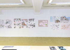 Ausstellungsansicht / Kunstverein Tiergarten / Gestrüpp / 2016