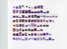 Mathe lernen <span style="color: #99a384;"><em>/ learning maths