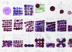 Mathe lernen <span style="color: #99a384;"><em>/ learning maths