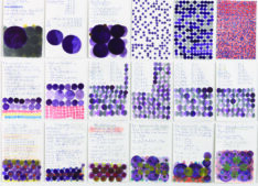 Mathe lernen <span style="color: #99a384;"><em>/ learning maths