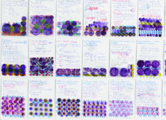 Mathe lernen <span style="color: #99a384;"><em>/ learning maths