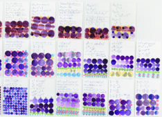 Mathe lernen <span style="color: #99a384;"><em>/ learning maths