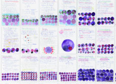 Mathe lernen <span style="color: #99a384;"><em>/ learning maths
