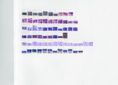 Mathe lernen <span style="color: #99a384;"><em>/ learning maths