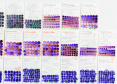 Mathe lernen <span style="color: #99a384;"><em>/ learning maths