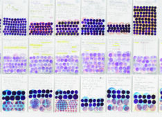 Mathe lernen <span style="color: #99a384;"><em>/ learning maths