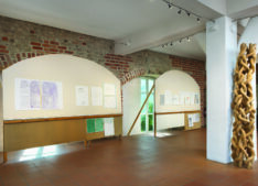 Ausstellungsansicht <span style="color: #99a384;"><em>/ Exhibition View