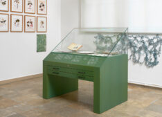 Fragiles Grün <span style="color: #99a384;"><em>/ Fragile Green