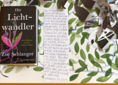 Fragiles Grün <span style="color: #99a384;"><em>/ Fragile Green