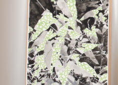 Fragiles Grün <span style="color: #99a384;"><em>/ Fragile Green
