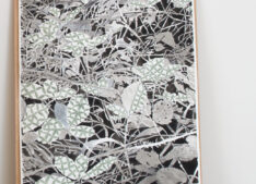 Fragiles Grün <span style="color: #99a384;"><em>/ Fragile Green